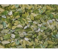 Обои виниловые на флизелиновой основе Е182хх Шелест (1.06х10 м; 4 рулона) Elysium Е18207