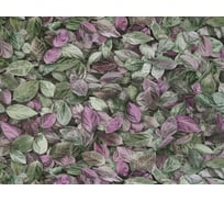 Обои виниловые на флизелиновой основе Е182хх Шелест (1.06х10 м; 4 рулона) Elysium Е18205