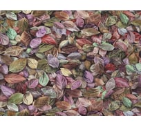 Обои виниловые на флизелиновой основе Е182хх Шелест (1.06х10 м; 4 рулона) Elysium Е18206