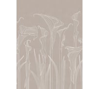 Фотообои ООО Ортограф КАЛЛЫ 1,99x2,7 OF_34512