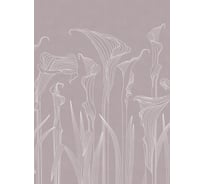 Фотообои ООО Ортограф KALLA LILIES 1,99x2,7 OF_34513