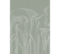 Фотообои ООО Ортограф KALLA LILIES 1,99x2,7 OF_34514