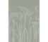 Фотообои ООО Ортограф KALLA LILIES 1,99x2,7 OF_34514 1