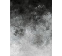 Фотообои ООО Ортограф СЕРЫЕ РАЗВОДЫ 1,99x2,7 OF_35168