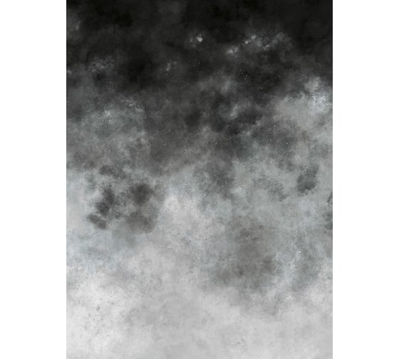 Фотообои ООО Ортограф СЕРЫЕ РАЗВОДЫ 1,99x2,7 OF_35168