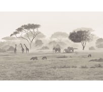 Фреска ООО Ортограф ВОЛЬНЫЕ ПРОСТОРЫ 4,0x2,7 FX_35349