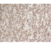 Обои виниловые на флизелиновой основе Е188хх Вереск (1.06х10 м; 4 рулона) Elysium Е18802