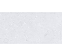Плитка Mdetails Cemento Ammonite Silver Matt 60x120 см 2 шт МДТ0250