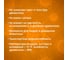 Антисептик против жуков GOLDBASTIK Биокиллер 5 л BB 22 5 6