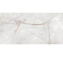 Полированный керамогранит LCM Special Marmo Gray 60x120 см 60120PEC15P