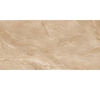 Глазурованный керамогранит LCM Argenta Bronze 60x120 см 60120RGE31M