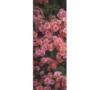 Обои Milan Розовые цветы (1х2.7 м; 1 лист) АртПолиграф M 1014