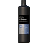 Антисептик для минеральных поверхностей MEDERA Bioremont Concentrate для наружных и внутренних работ, 1 л 2027-1