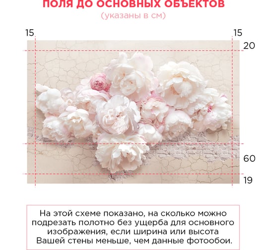 Обои Белые цветы пионы на кирпичной стене Топ Фотообои флизелин, 400х270 см 01-11069-F-4