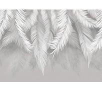 Фотообои Пальмовые листья 475х270 см МИР PrMir-12021-V5