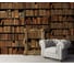 Фотообои Книжные полки 95х270 см МИР PrMir-12016-V1 2