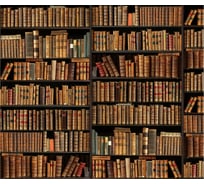 Фотообои Книжные полки 285х270 см МИР PrMir-12016-V3