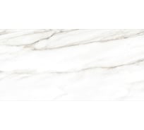 Плитка облицовочная AlmaCeramica Euphoria 249x500 TWU2550EPH04