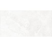 Плитка облицовочная AlmaCeramica Persey 249x500 TWU2550PRS07