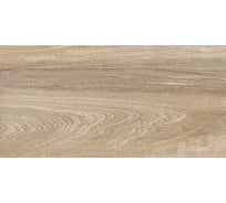 Плитка облицовочная рельефная AlmaCeramica Euphoria 249x500 TWU2550EPH40