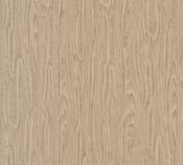 Обои виниловые на флизелиновой основе Versace 4 (0.7х10.05 м; 6 рулонов) A.S. Creation 37052-2