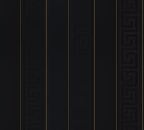 Обои виниловые на флизелиновой основе Versace (0.7х10.05; 1 рулон) A.S. Creation 93524-4