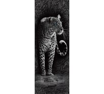 Обои Леопард на черном фоне с узорами Топ Фотообои флизелин, 100х270 см 07-1001-F-1