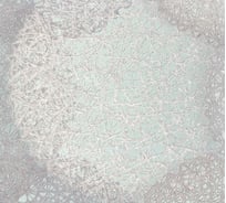 Обои виниловые на флизелиновой основе Samui (1.06х10.05 м; 1 рулон) Monte Solaro 9067-04