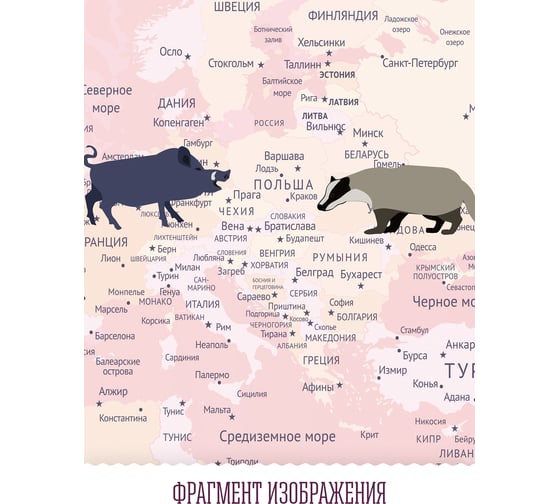 Обои Карта путешественника для детей с животными, самолетами и воздушными шарами на розовом фоне Топ Фотообои флизелин, 300х270 см 09-1091-МF-3