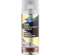 Акриловый лак SKYRON матовый SR-24003