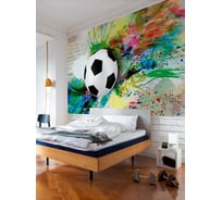 Обои Футбольный мяч и брызги краски на стене Топ Фотообои флизелин, 300х180 см 20-1051-МF-32