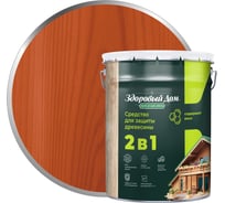 Деревозащитное средство Здоровый дом 2в1 Рябина, 20 л ЛА-00003971