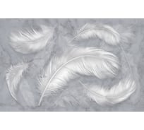 Обои Перья в серых тонах Топ Фотообои флизелин, 200х129 см 26-1100-MV-4