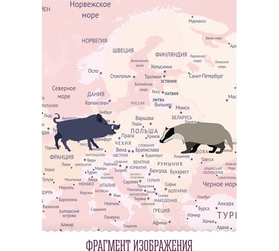Обои Карта путешественника для детей с животными, самолетами и воздушными шарами на розовом фоне Топ Фотообои флизелин, 300х180 см 09-1091-МF-32