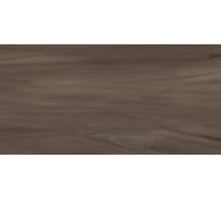 Керамогранит Artkera Group Goa Marron матовый, 300x600x8, 1,44 м2, коричневый GP36GOA21