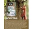 Защитная пропитка для дерева Бор Classic для наружных работ, эбеновое дерево 8 кг 4690417079049 4