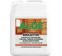 Биосептик ALOE 5,0 л, зеленый 10254