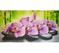 Фартук-панно ПВХ (602х1002 мм; Орхидея Ванда) GRACE УТ000058918