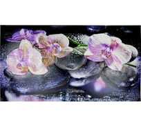 Фартук-панно ПВХ (602х1002 мм; Орхидеи на камне) GRACE УТ000058917