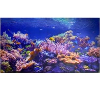 Фартук-панно ПВХ GRACE Коралловый риф (5 шт, 602х1002 мм) УТ000058913