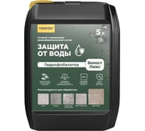 Гидрофобизатор (пропитка) кремнийорганический Типром WEPOST Luxe 5 л для камня, бетона и гипса RM000008047