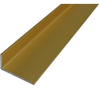 Профиль ПилотПро Ал., уголок, 20х10х1,2, 1 м, золото 09970