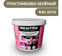 Краска ВД интерьерная моющаяся BRAITON paint BRAITON Премиум 5 кг, цвет Тростниково-зелёный, RAL 6013 kraskavdpremiumbraiton60135