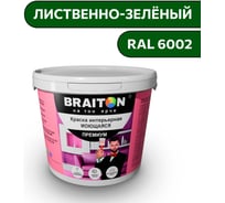 Краска ВД интерьерная моющаяся BRAITON paint BRAITON Премиум 6 кг, цвет Лиственно-зелёный, RAL 6002 kraskavdpremiumbraiton60026