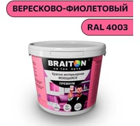 Краска ВД интерьерная моющаяся BRAITON paint BRAITON Премиум 6 кг, цвет Вересково-фиолетовый, RAL 4003 kraskavdpremiumbraiton40036