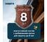 Деревозащитный декоративный состав ТЕРРАТЕКС ALTAY ULTRA Сосна, 0,75кг / 1л /14 ЭК000145661 6