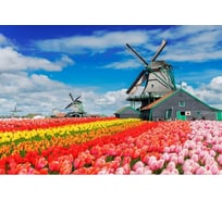 Обои АртПолиграф Milan Весна в Голландии, 200х135 см M 644