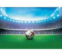 Обои АртПолиграф Milan В ожидании чемпионата, 200х135 см M 687