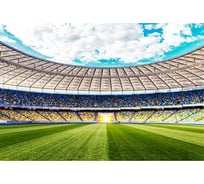 Обои АртПолиграф Milan Спорт навсегда, 200х135 см M 654