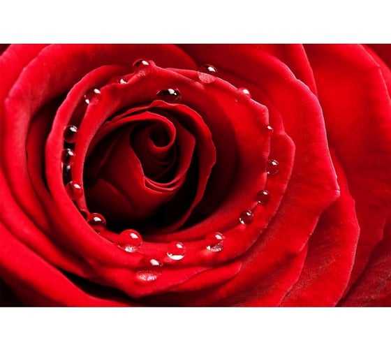 Обои АртПолиграф Milan Страстная женщина, 200х135 см M 665 1